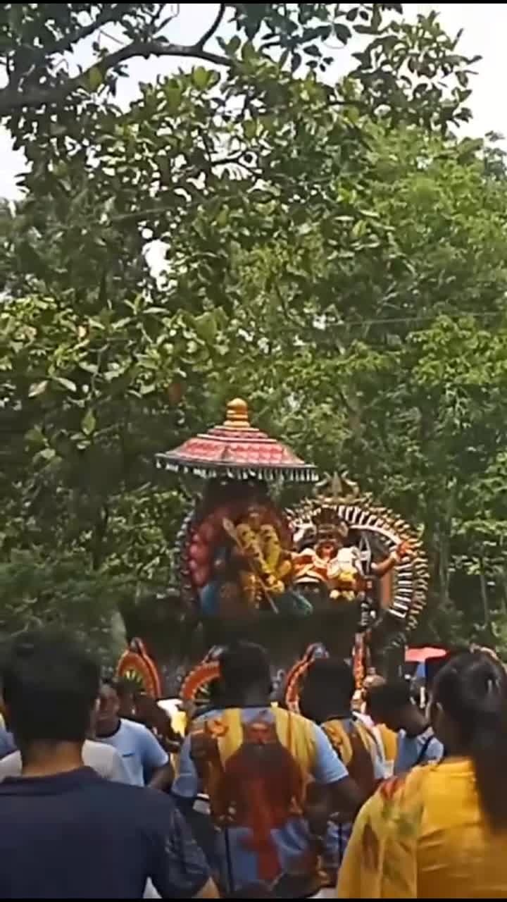 @kamalshamini3