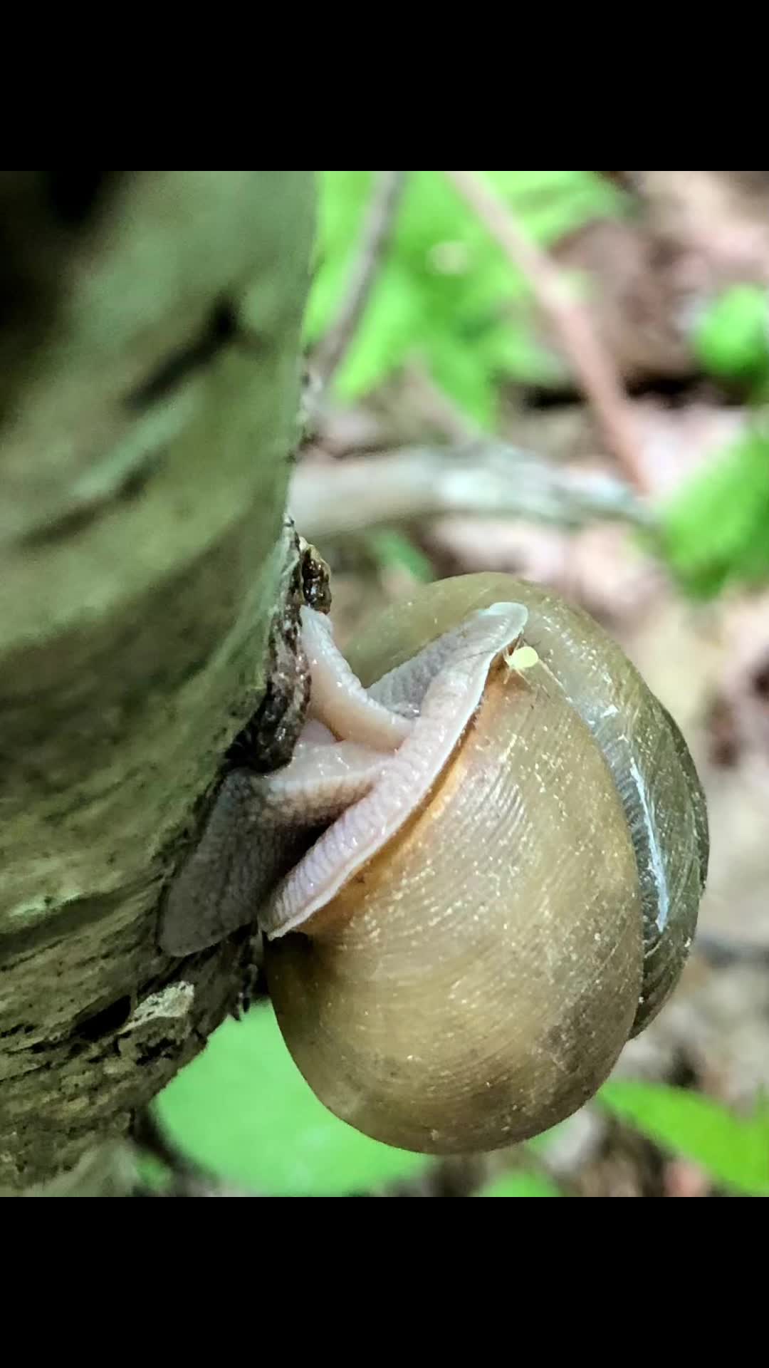 @Cindy loves nature