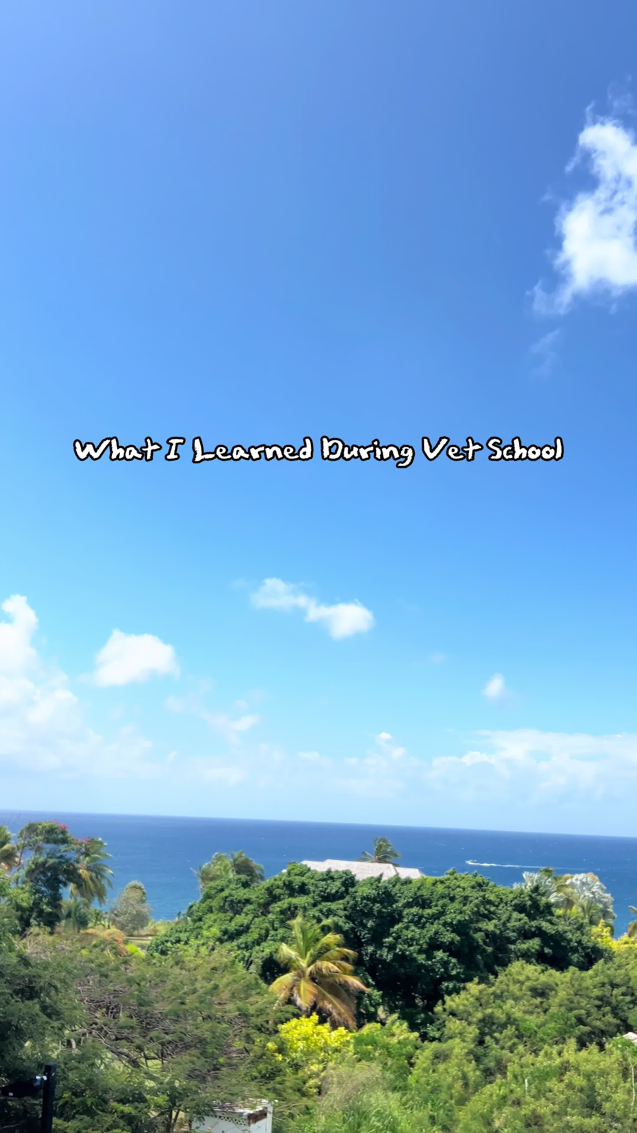 @lau