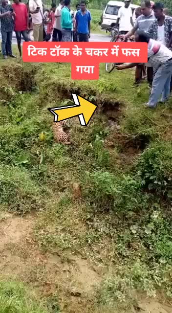 @jakhar1138
