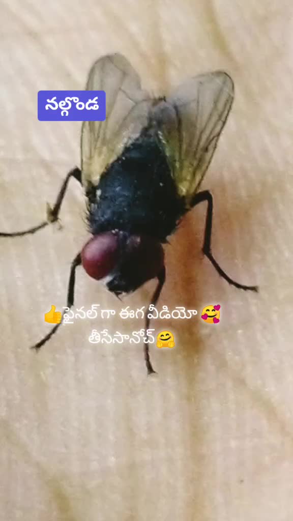@💓🖤Ashu🖤💔