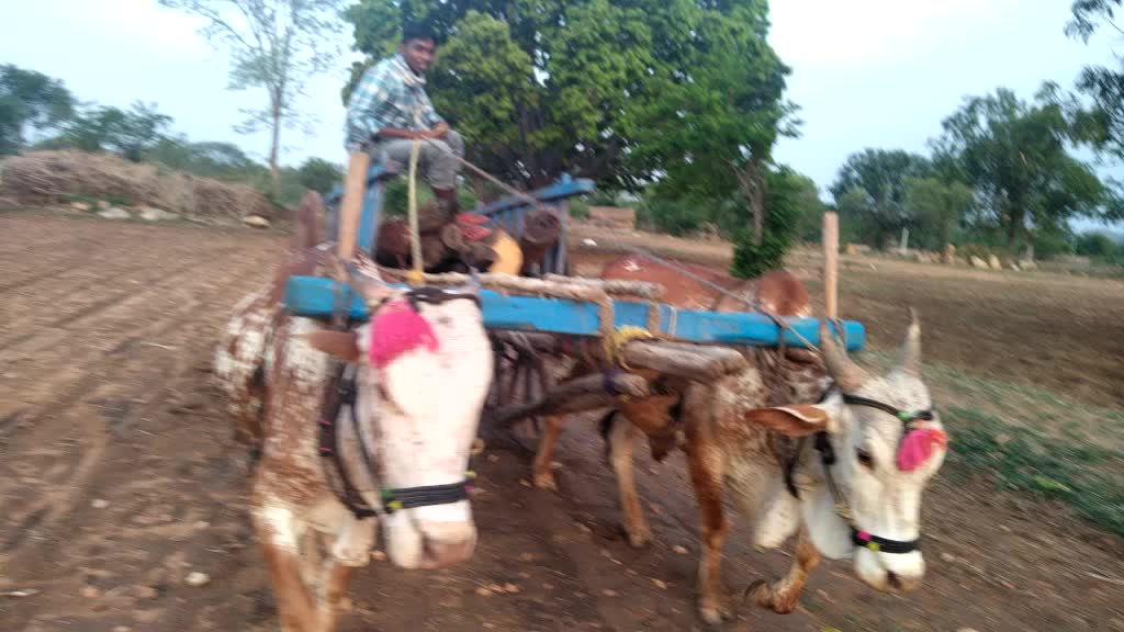 @Badugula Karthik