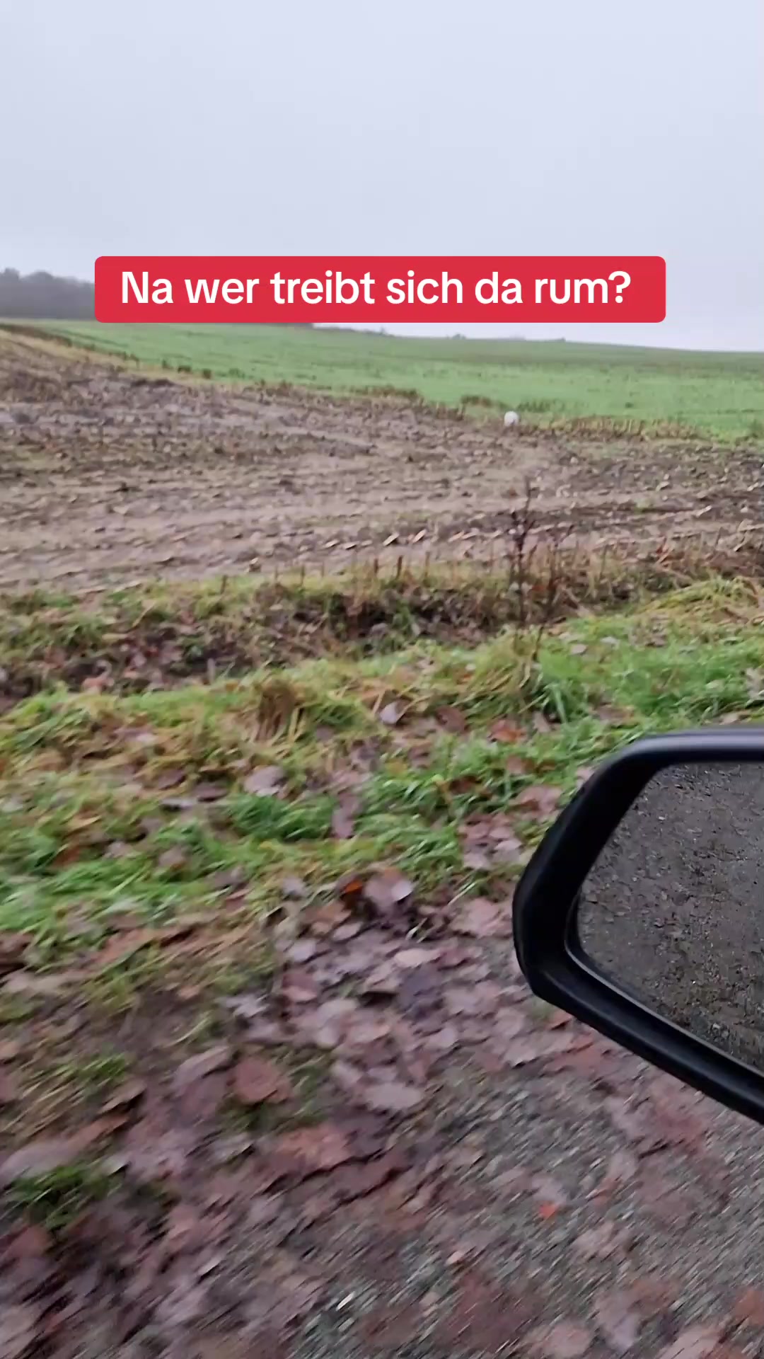 @Janine&Schatzi die echten