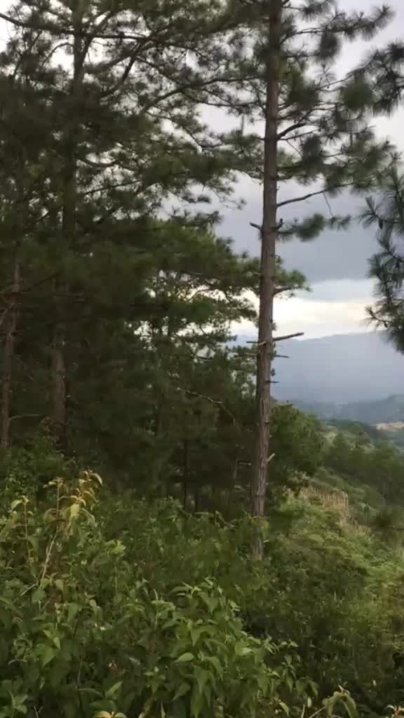 @РОИВ