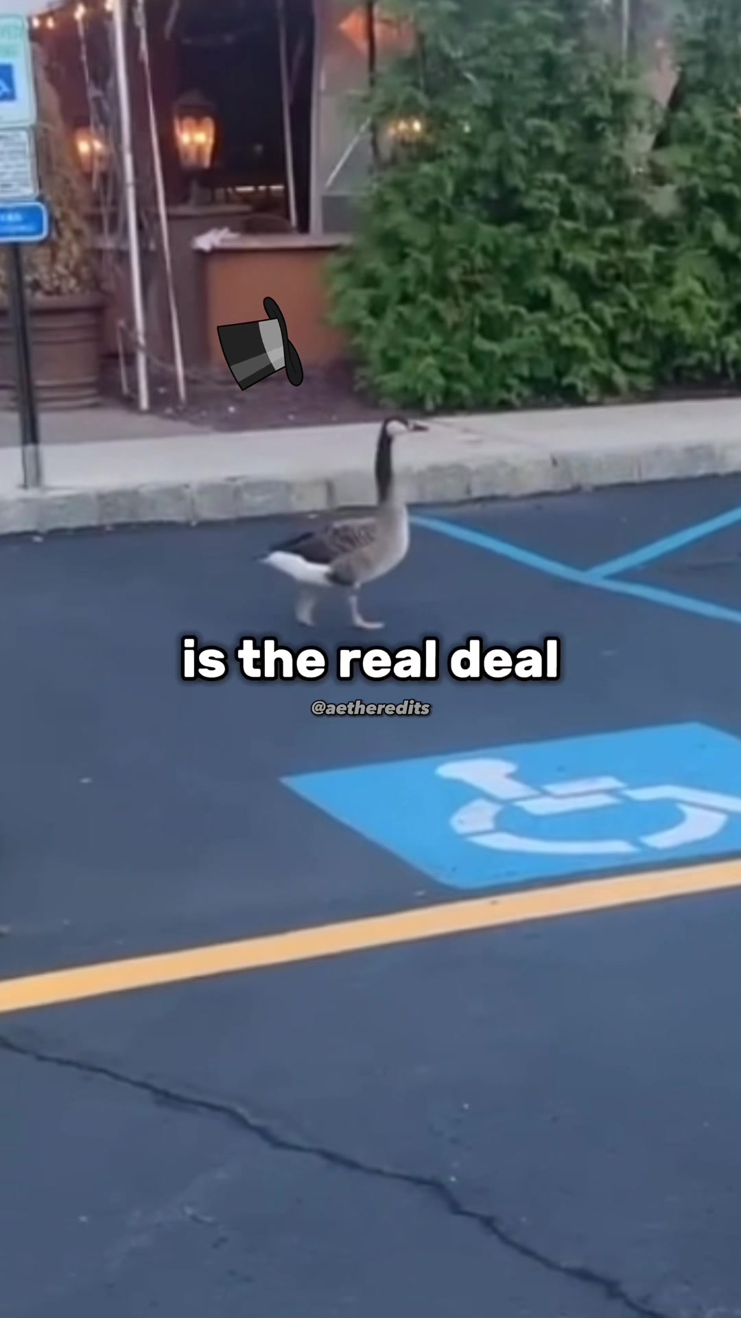 @AetherEdits