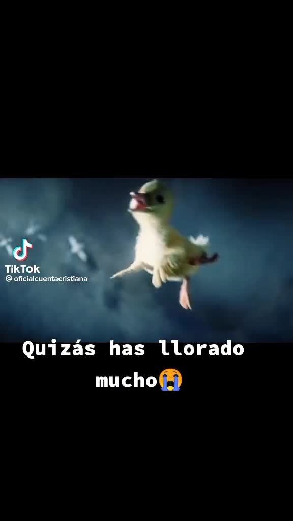 @Maria Sánchez358