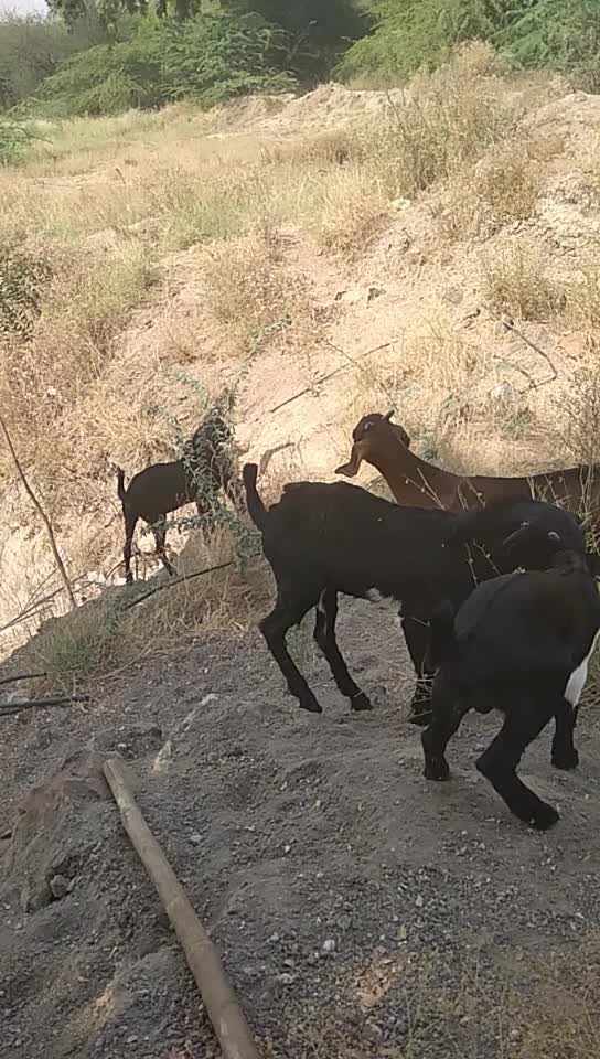 @Praful Patil