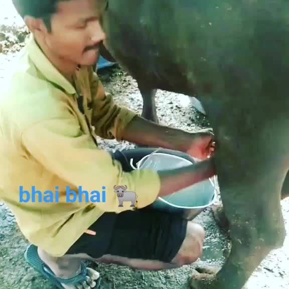 @pavan