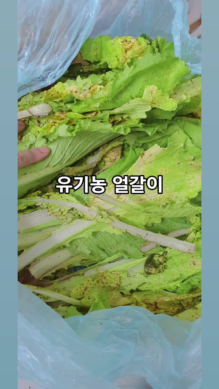 @로켓마미
