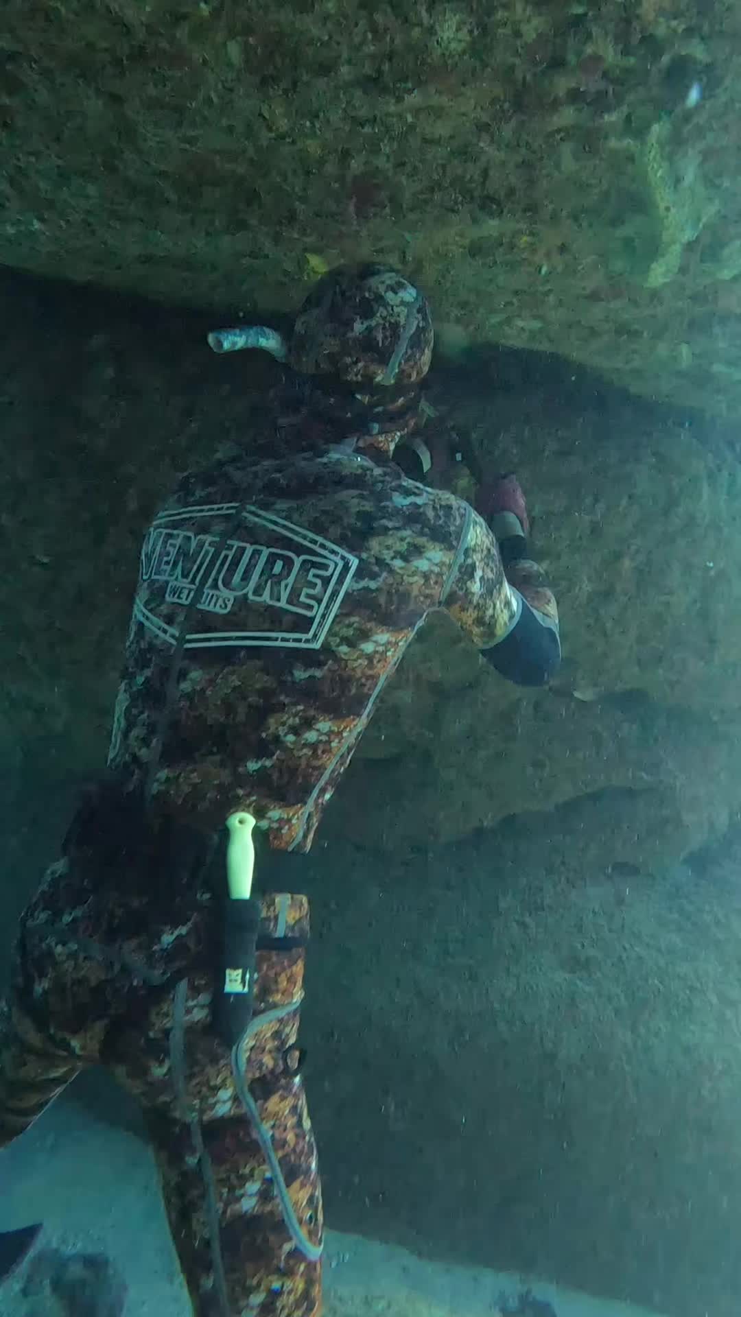 @Venture Wetsuits