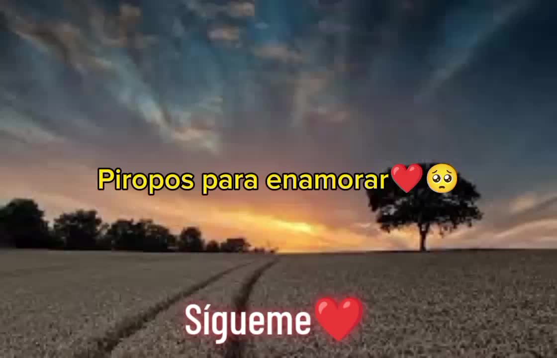 @🌹✨SoyAngelChamaléOficial🌹✨