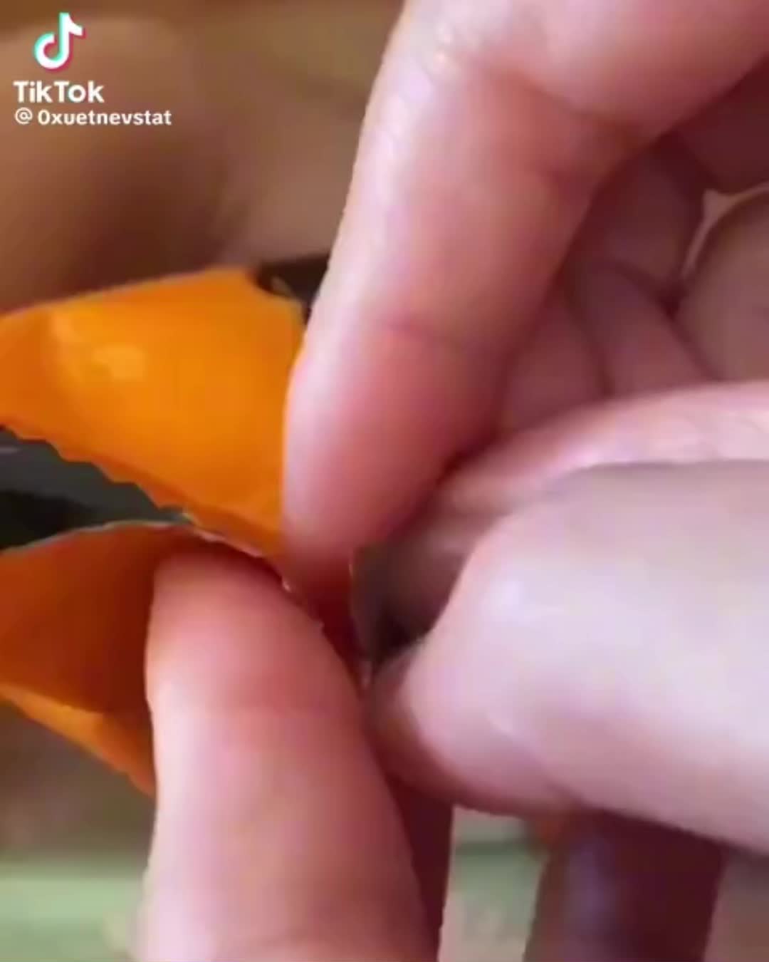@GeniusBooger