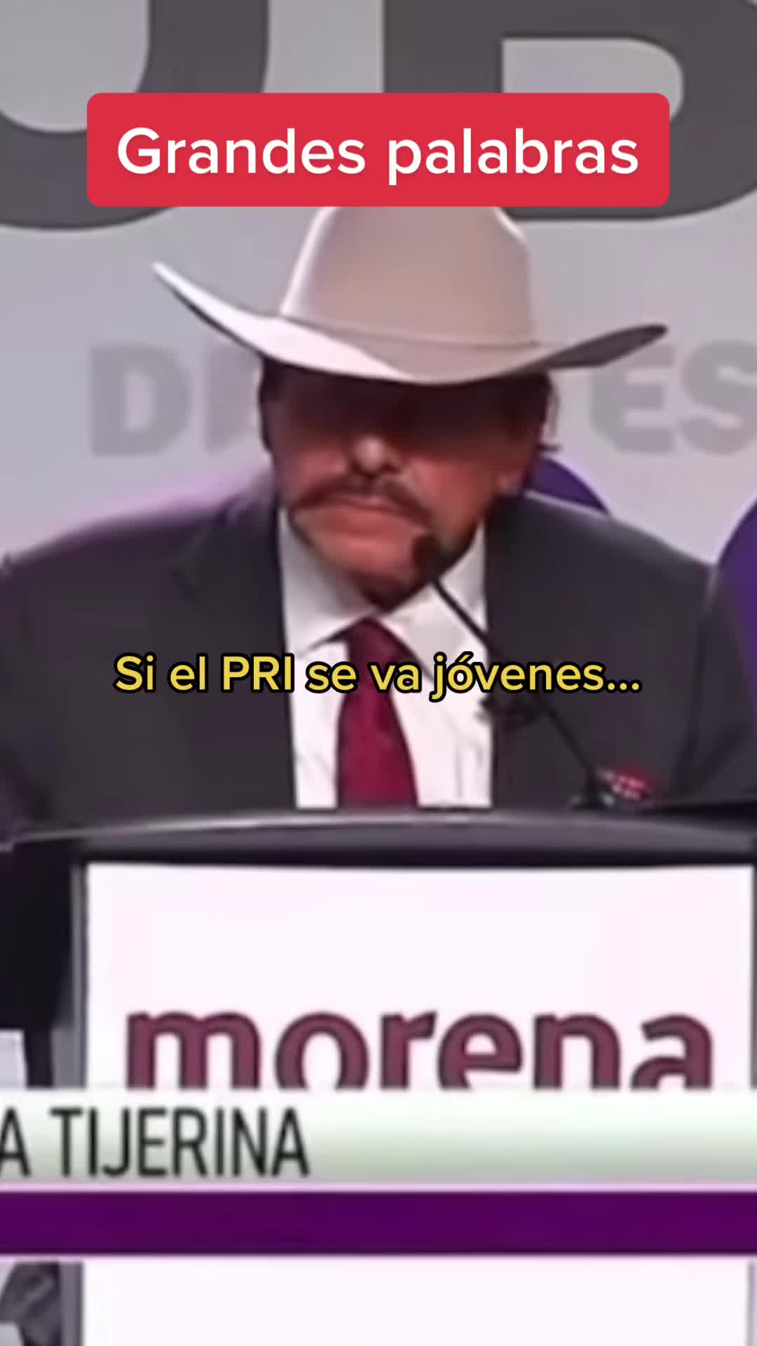 @Mr. Tiger