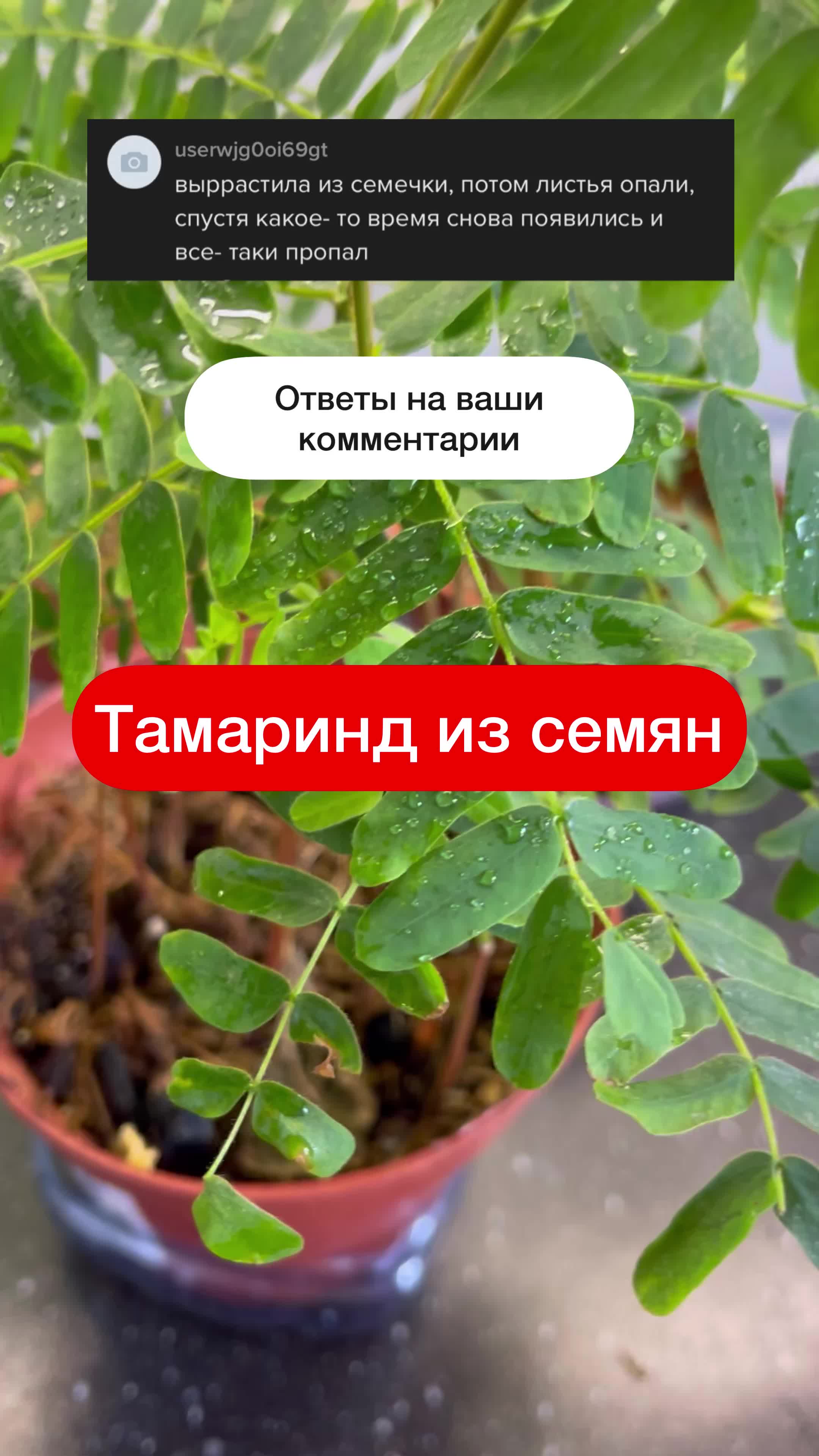 @Елена 🌱 Рай можно купить