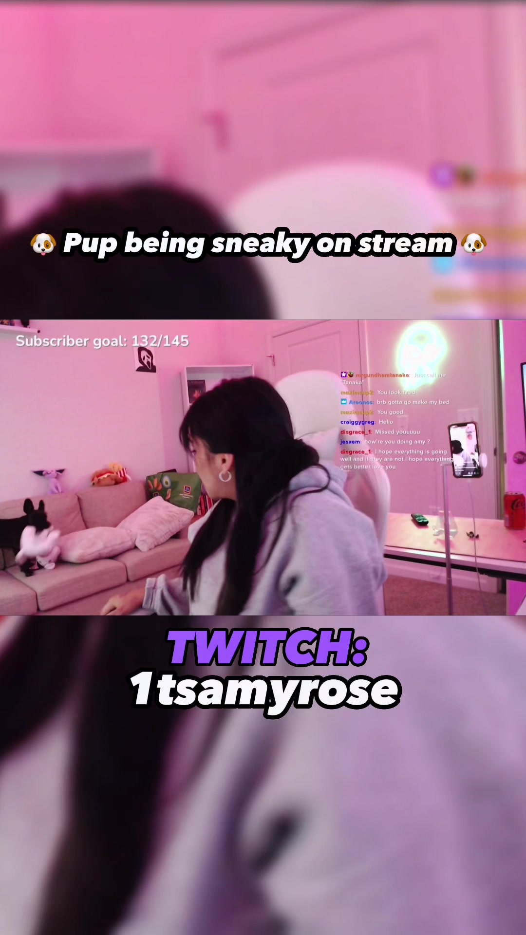 @Amy Rose