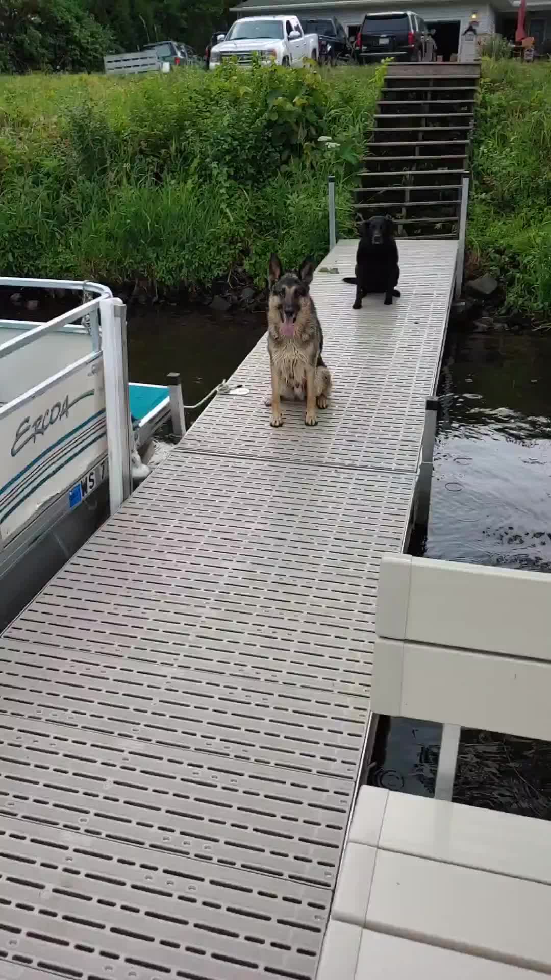 @Kolt - GSD