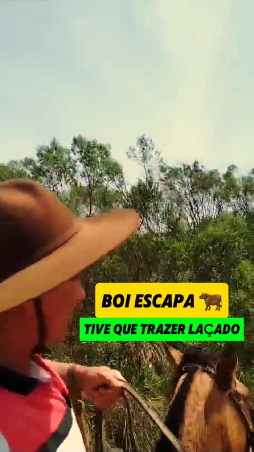 @João Antônio Rupp