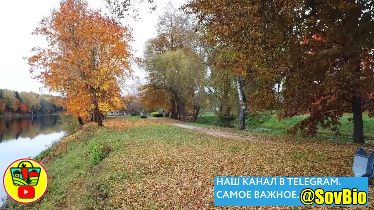 @СОВЕТЫ БИОЛОГА