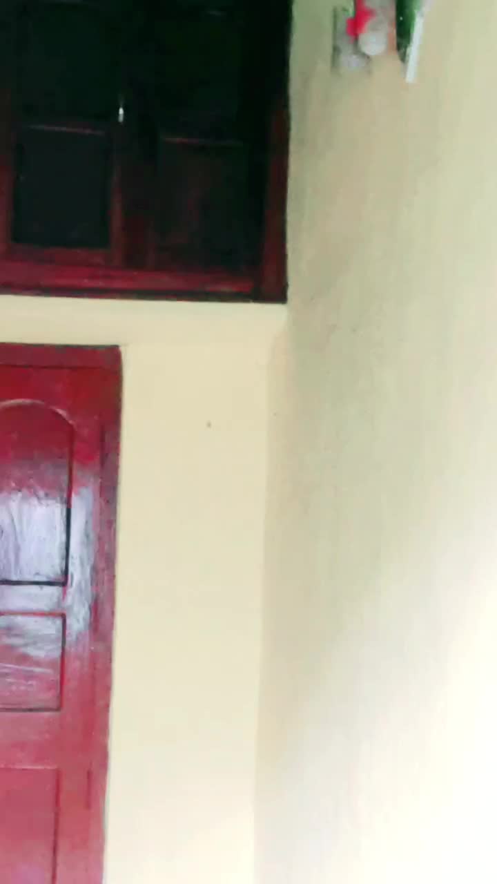 @sau____mæl___ya