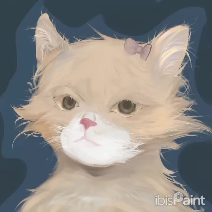 @【✦ 𝙏𝘿𝙏 𝕯ươ𝖓𝖌 ✦】