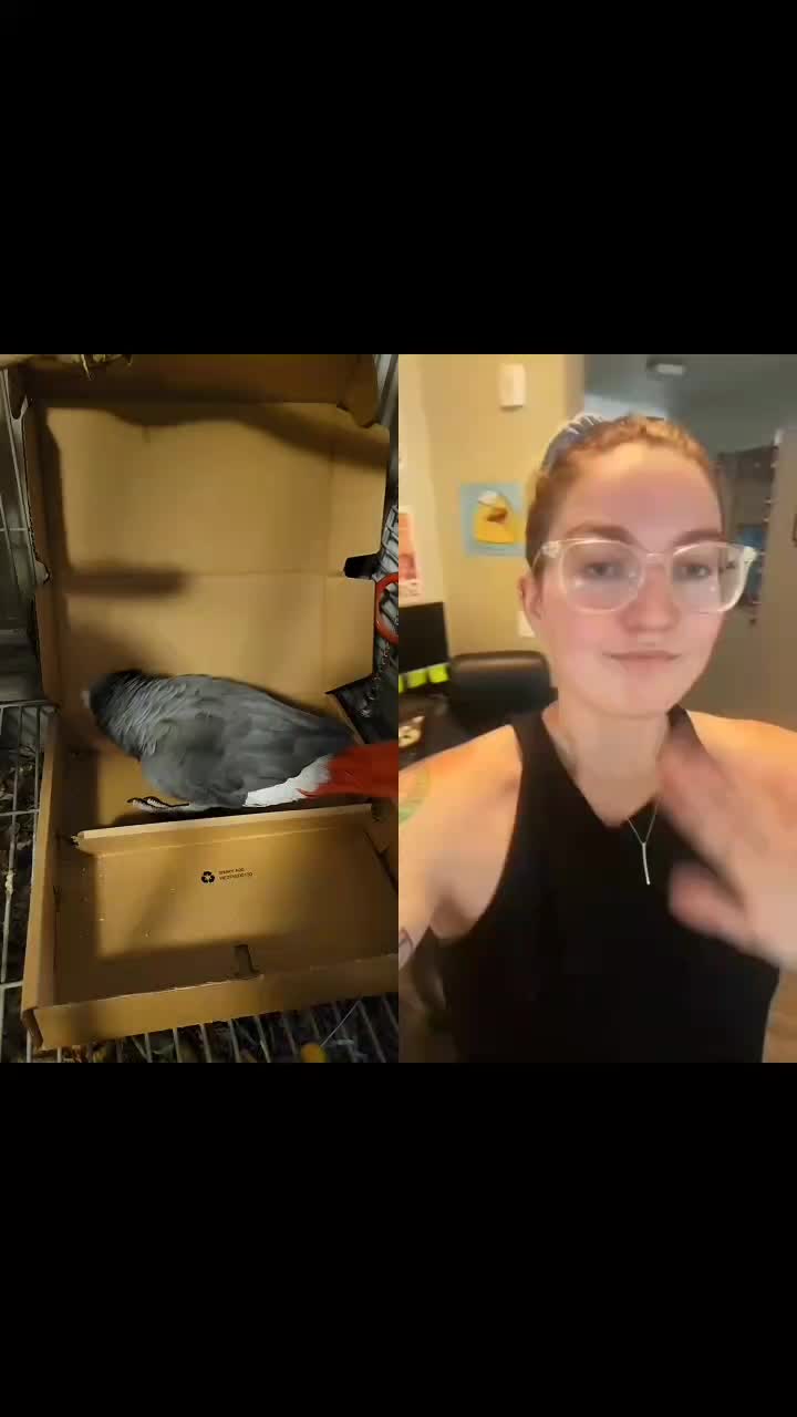 @Ben the bird