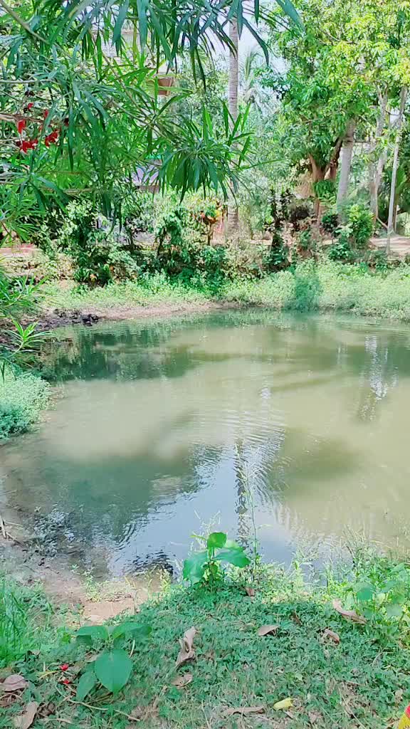 @pari.1399422