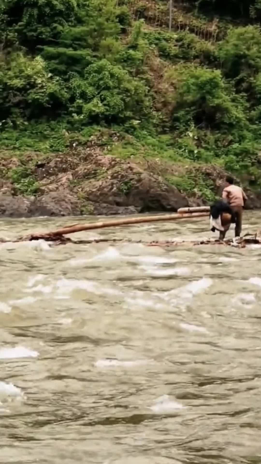 @Scenery.
