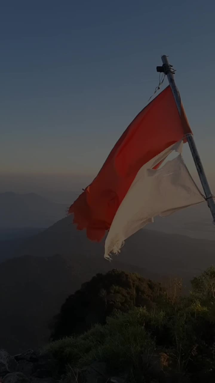 @T𝓸𝓷𝔂 ES
