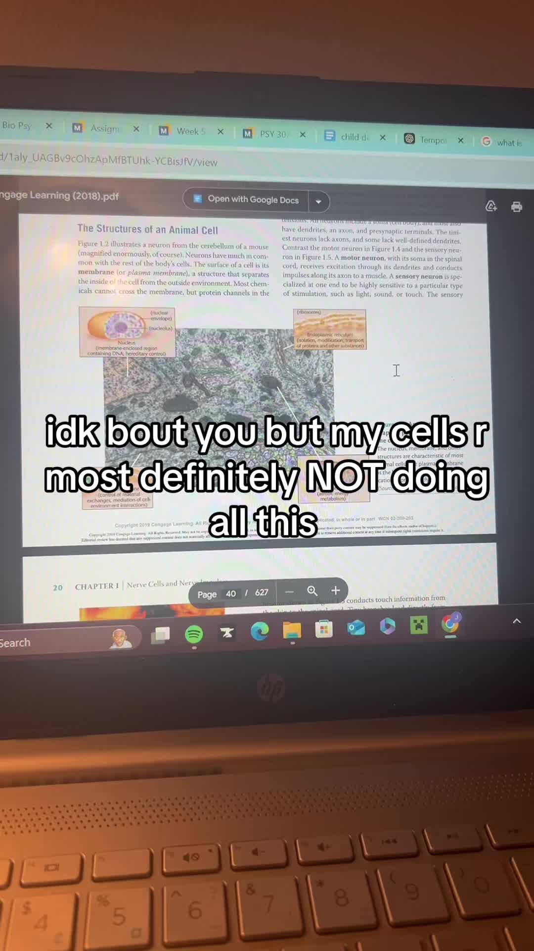 @trishlikeefish