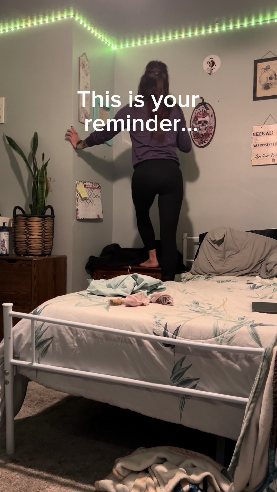 @Jami.Not.Jamie