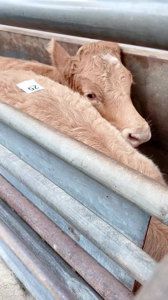 @Blessington_mart