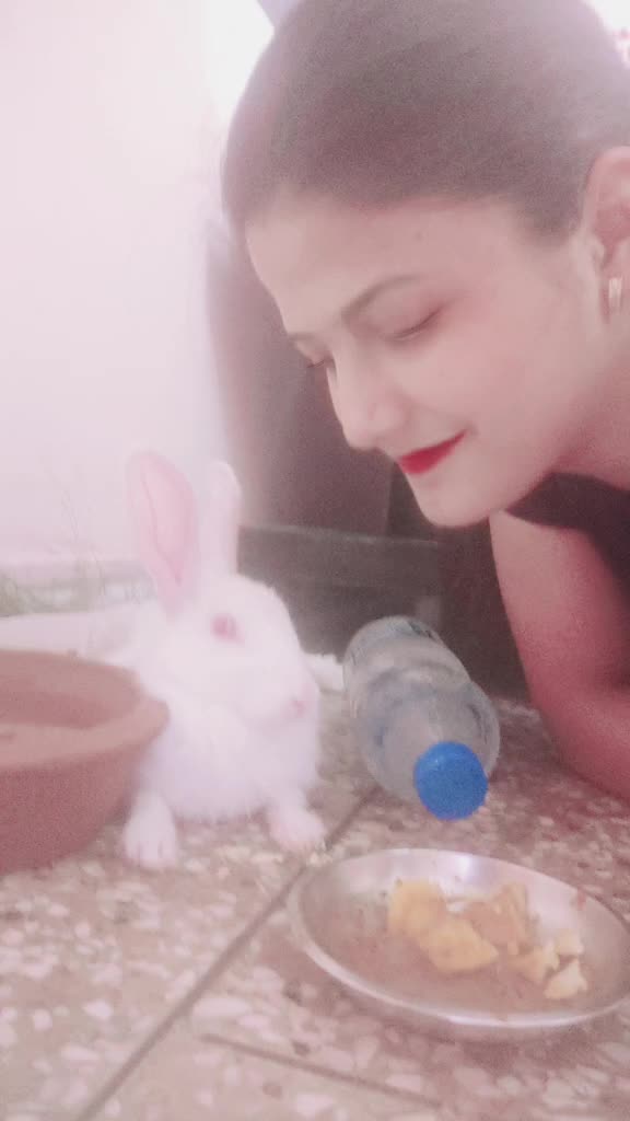 @❤❤shivi❤❤
