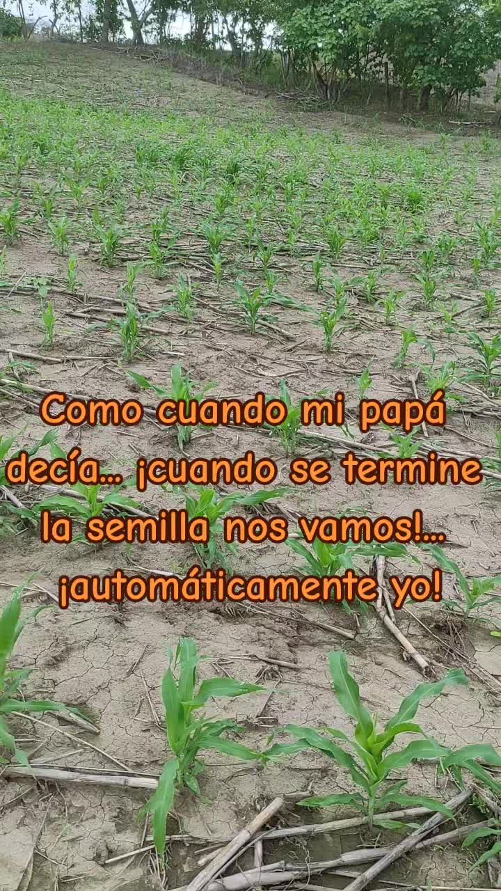 @Julio Enrique