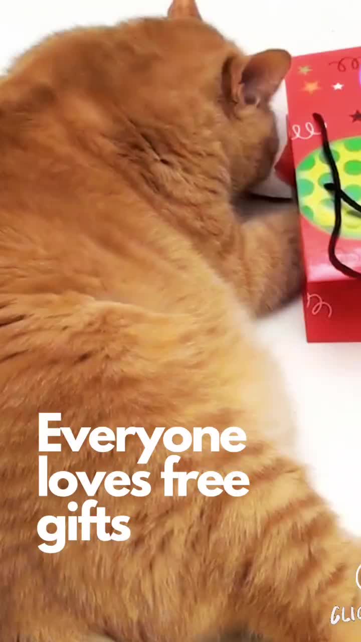 @Cleverr.store