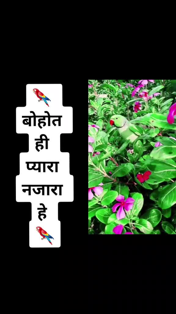 @Sarika Bhujbal