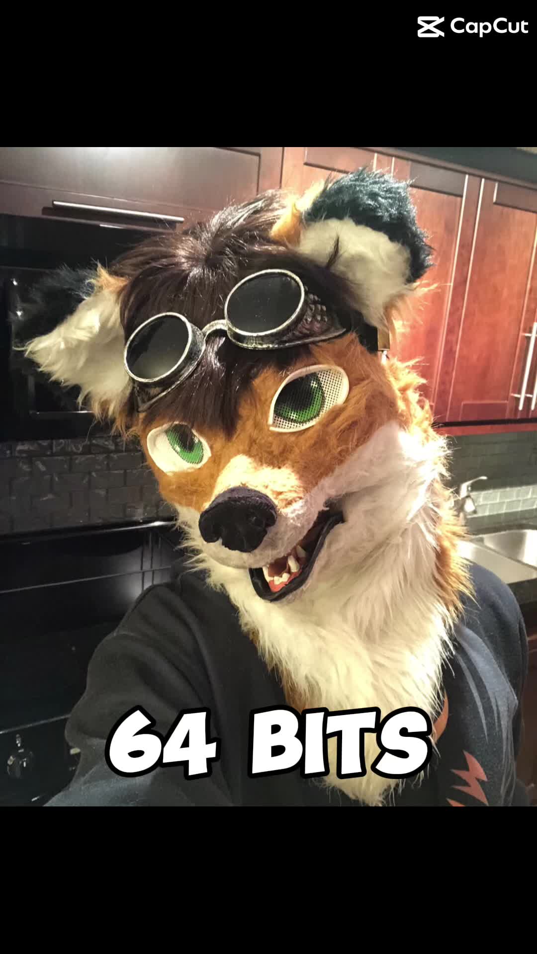 @Kitsu Foxx