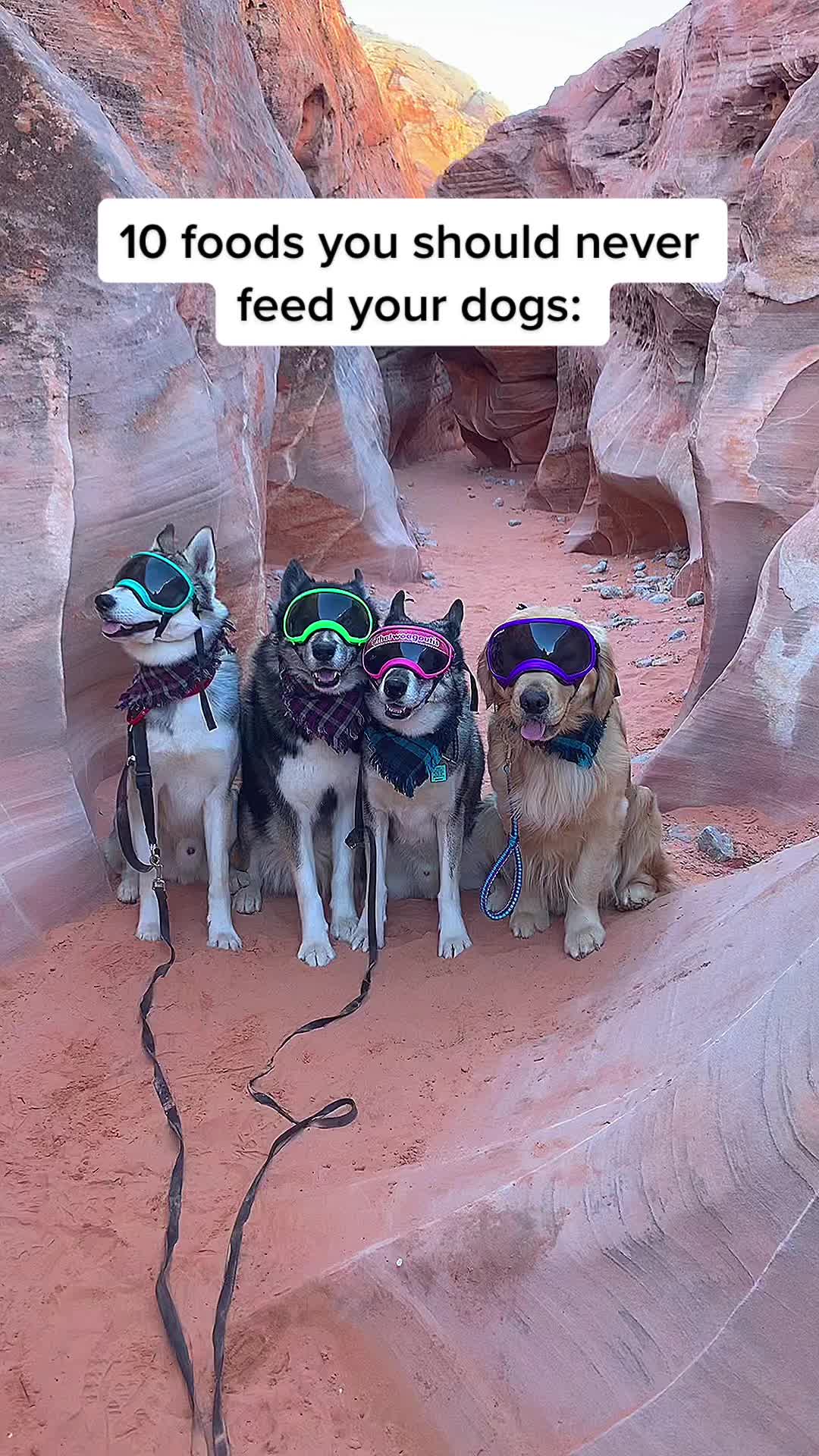 @Thetwoagoutis