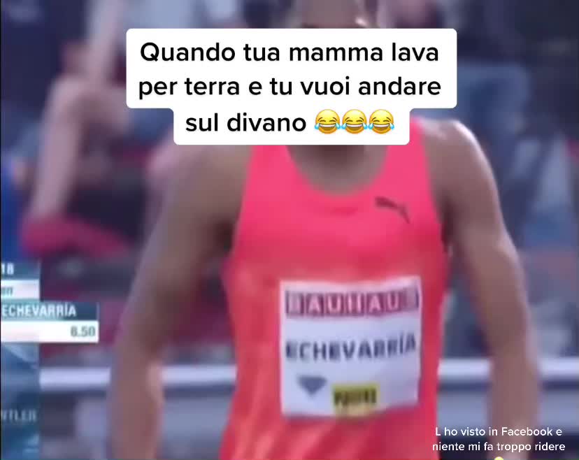 @Nicole D’Agostin