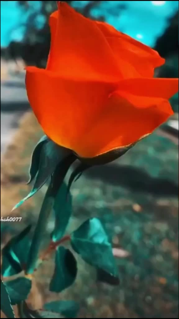 @Deepak Joshi