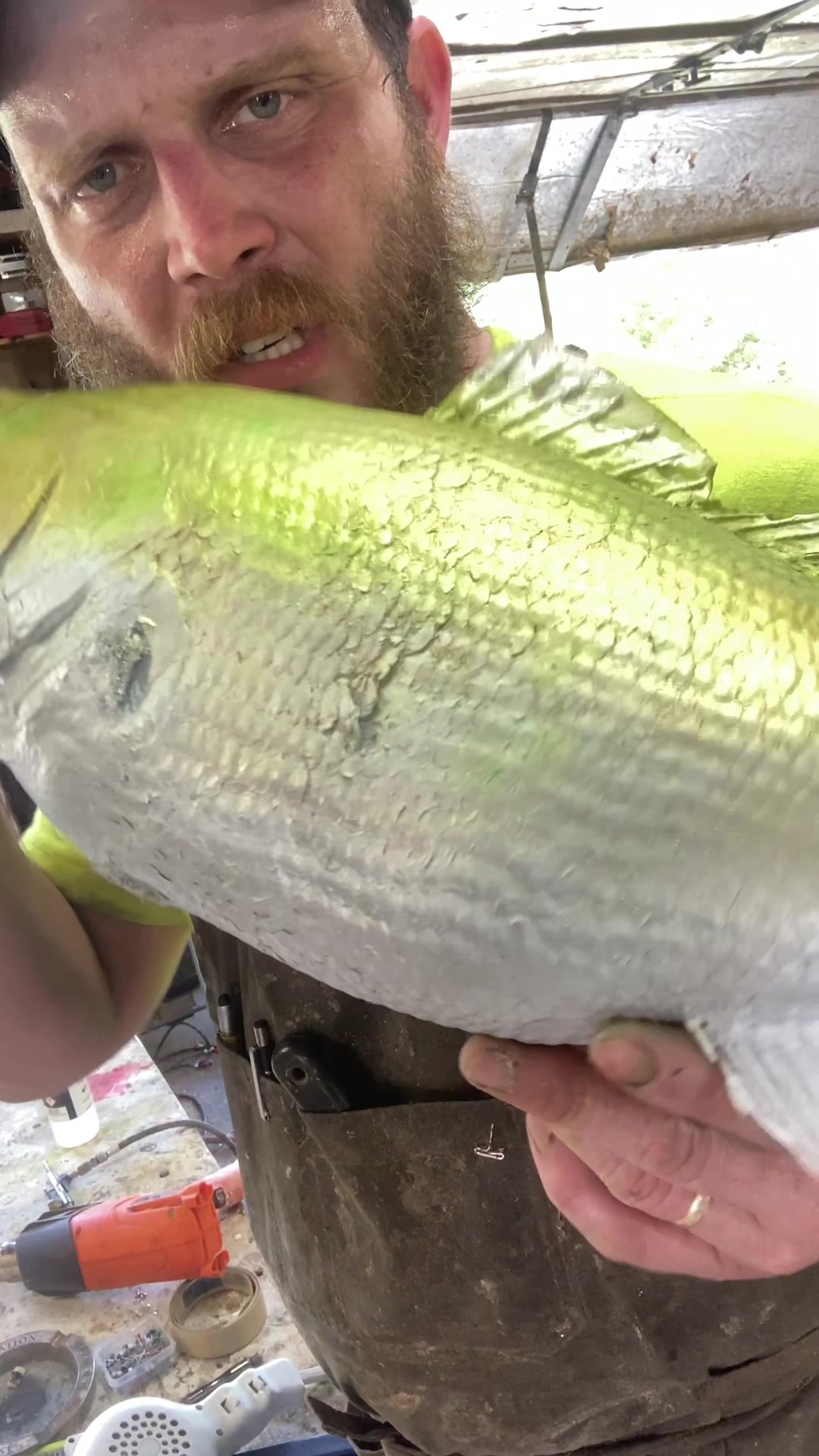 @Tomahawk Taxidermy