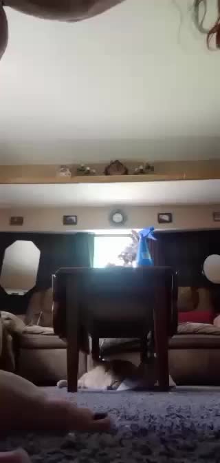 @maryialee