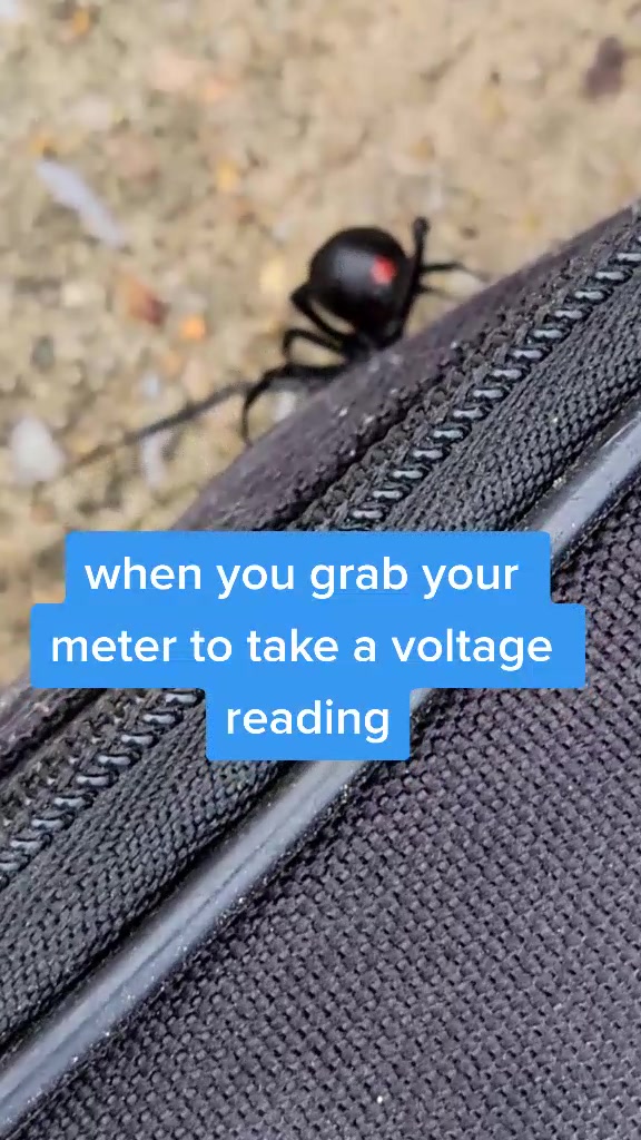 @electricianKelly