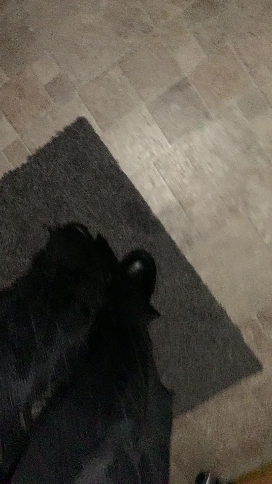 @Bisouu
