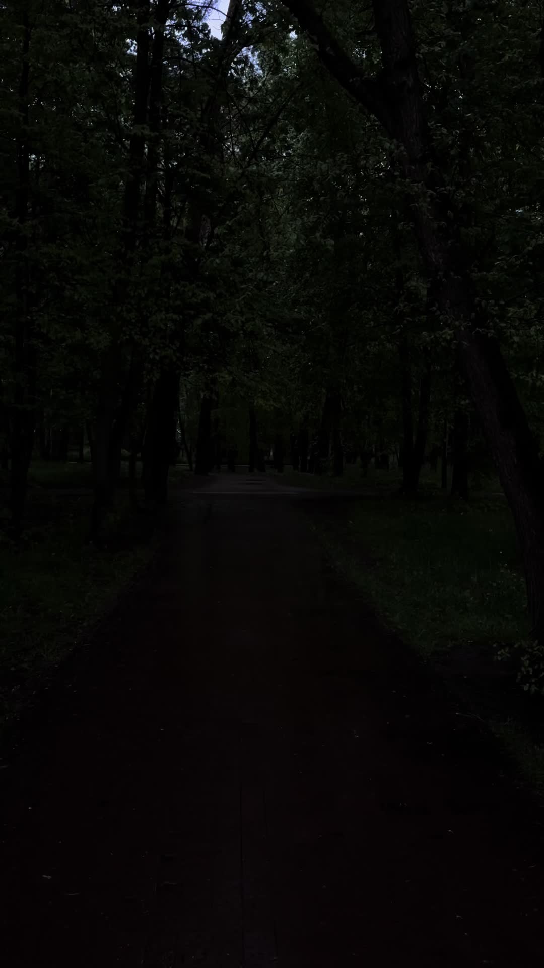 @МИКИТИК🖤