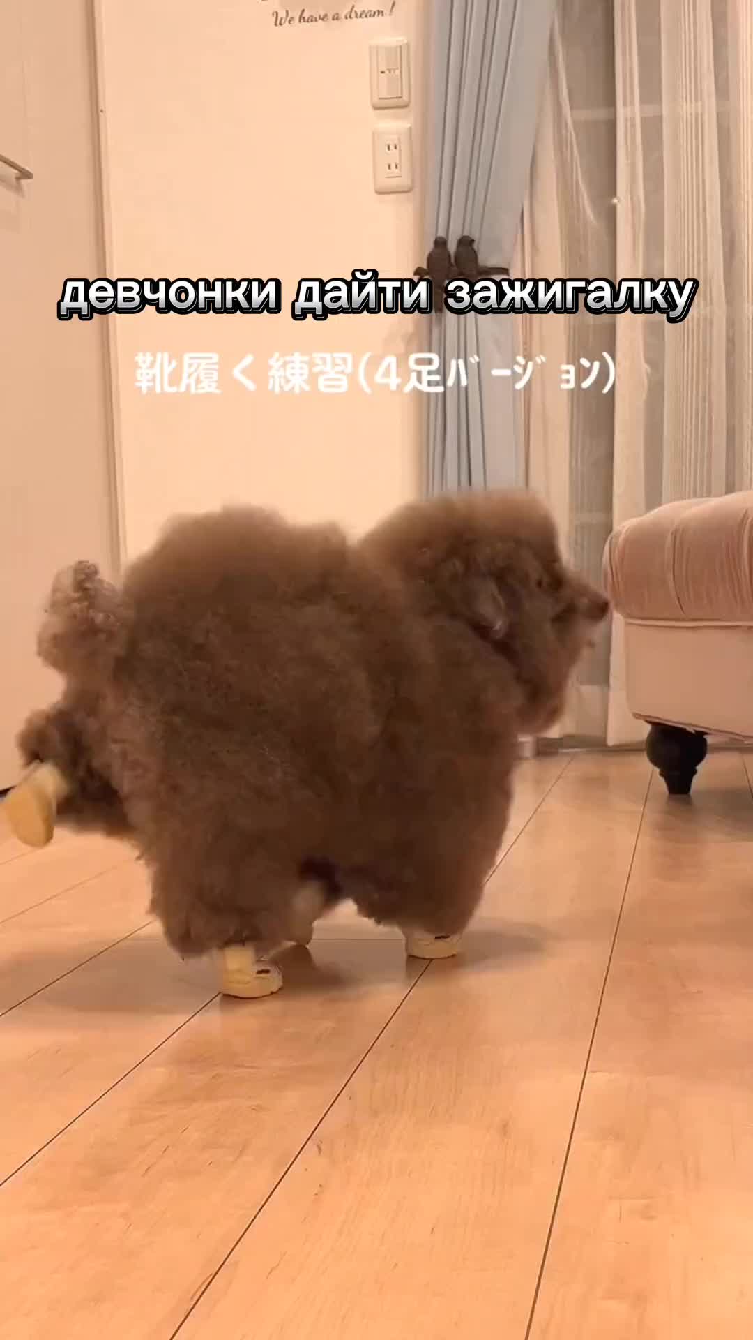 @ипучи
