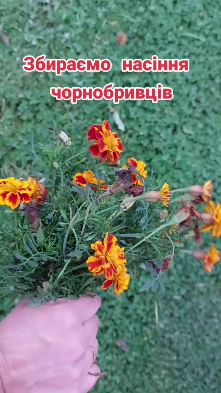 @BaraholkaUKRAINE