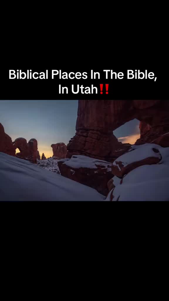 @Monarch Butterfly