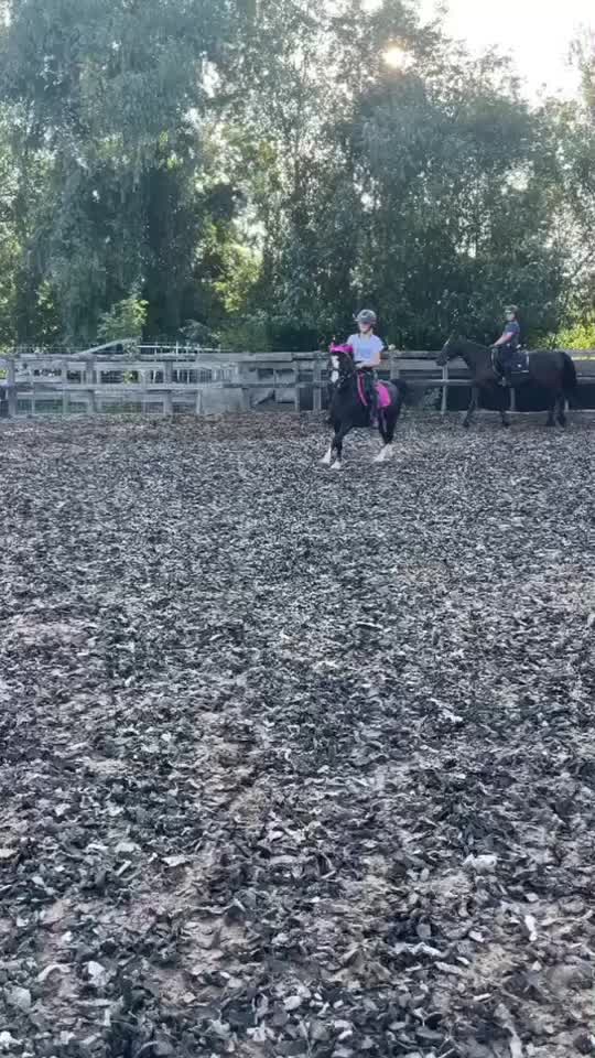 @Jumping Ponies 🔛🔝