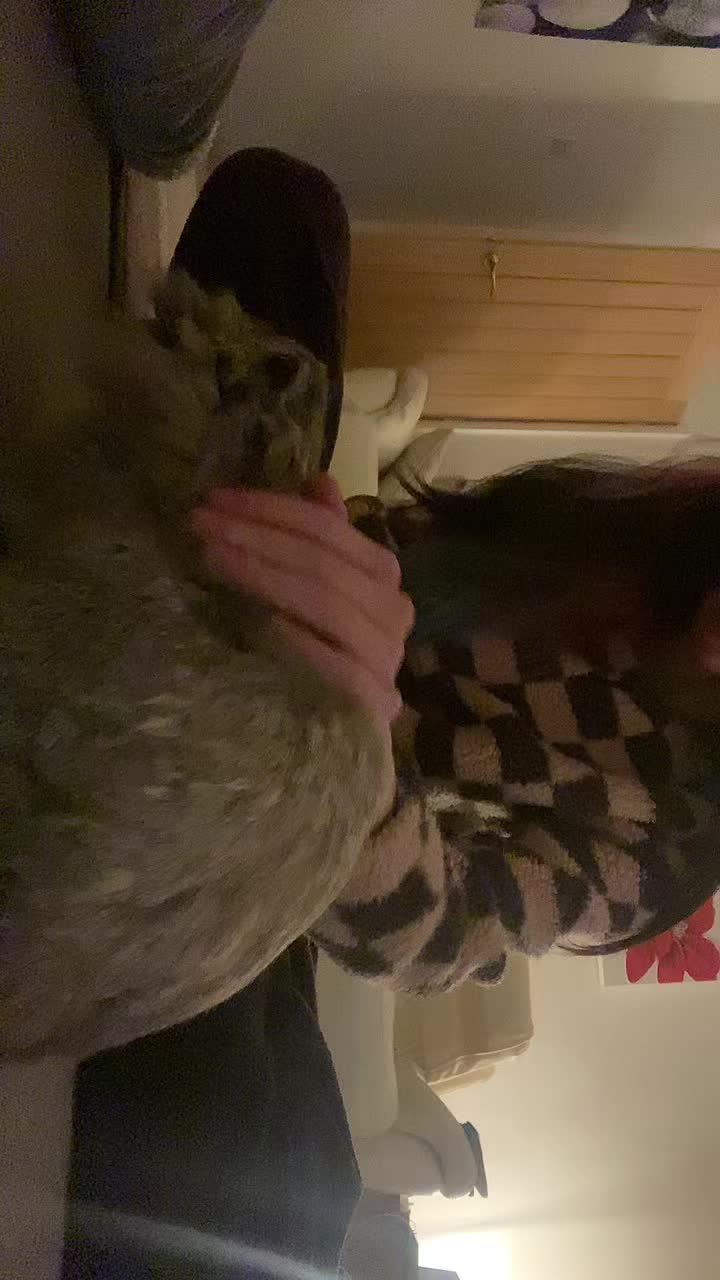 @meg 🌟