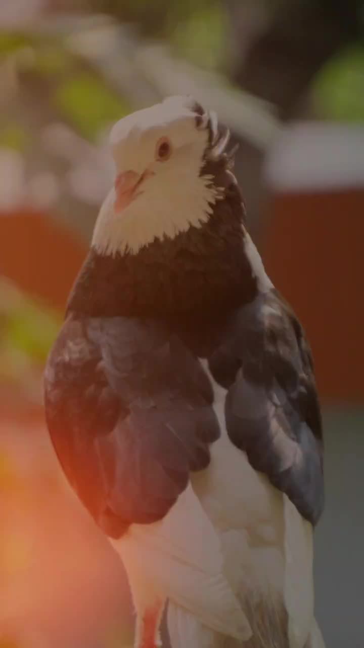 @കള്ളന്റെ😲നാട്ടുകാരൻ